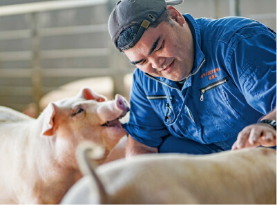 70年以上の歴史が生んだ、究極のブランド豚