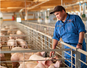 サイボクについて2