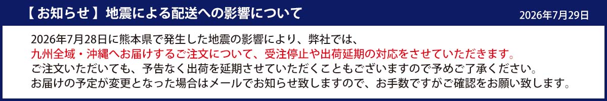 地震災害