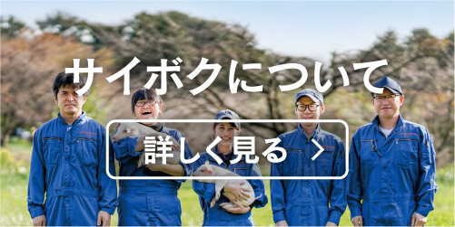 サイボクについて