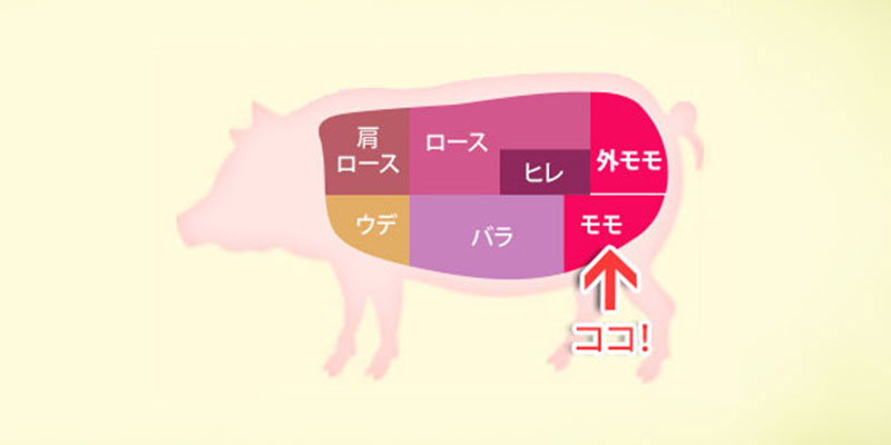 豚モモってどんな部位