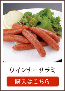 ウインナーサラミ