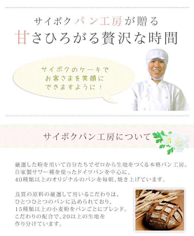 リッチケーキ１本