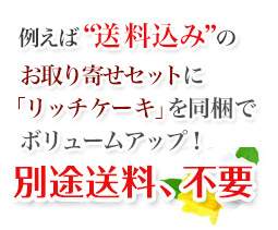 自宅用の場合