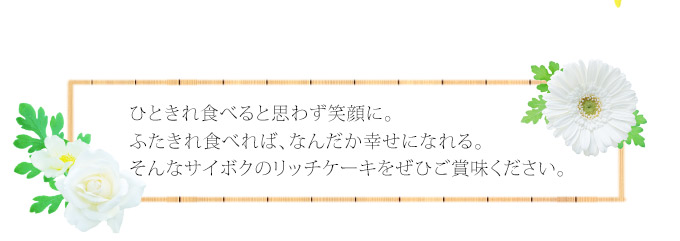 リッチケーキ１本