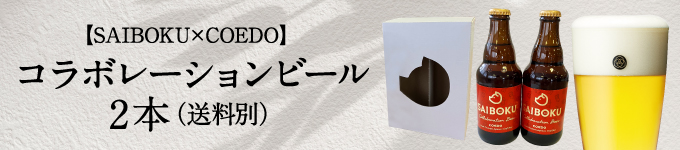 ビール6本セット