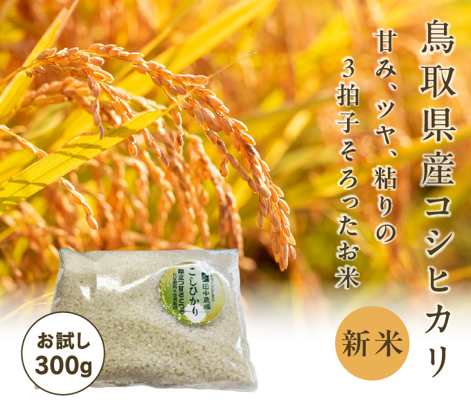 田中農場 鳥取県産コシヒカリ