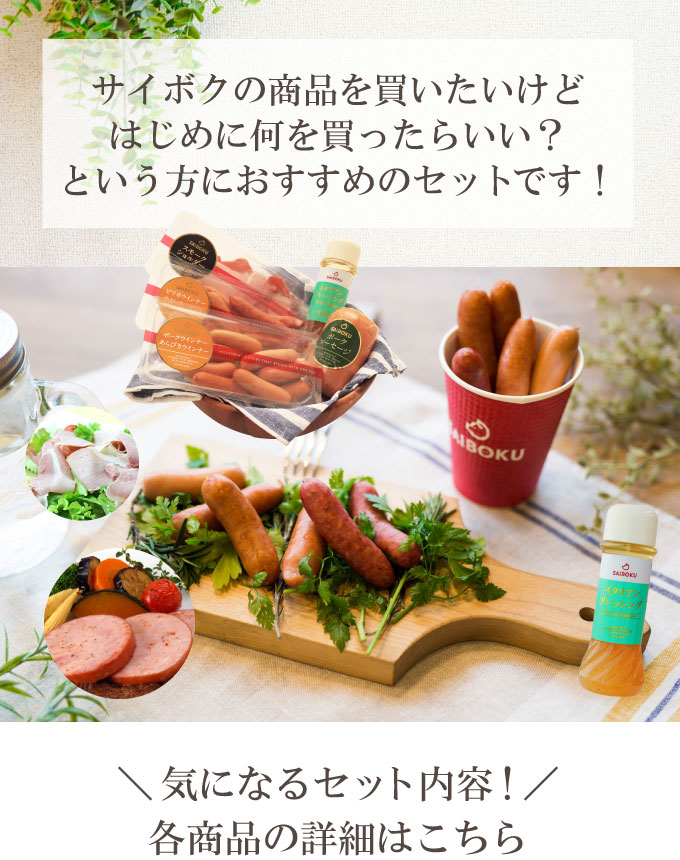 WEB限定　サイボクスターターセット