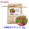 ササニシキ1kg